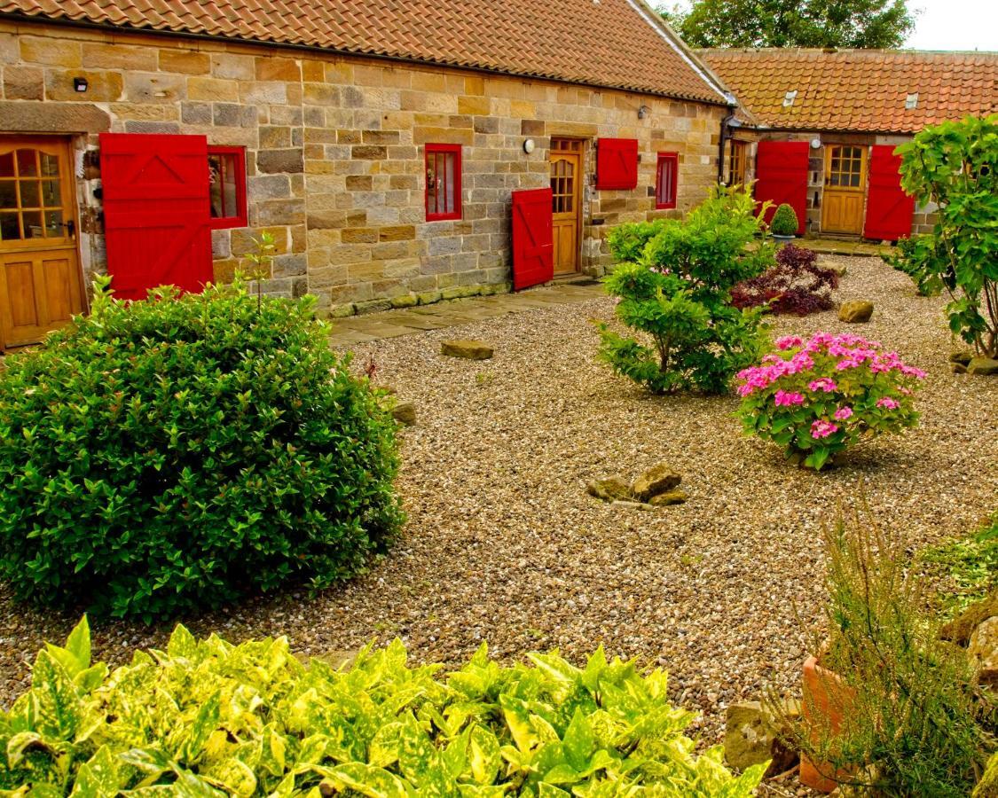 Spangle Cottage, Borrowby Farm Cottages Стейтес Экстерьер фото